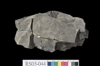 藏品(頁岩)的圖片